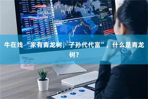 牛在线 “家有青龙树，子孙代代富”，什么是青龙树？