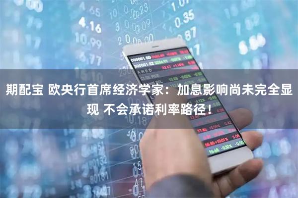 期配宝 欧央行首席经济学家：加息影响尚未完全显现 不会承诺利率路径！