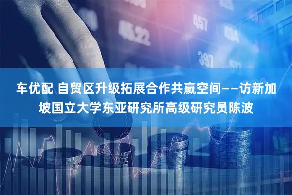 车优配 自贸区升级拓展合作共赢空间——访新加坡国立大学东亚研究所高级研究员陈波