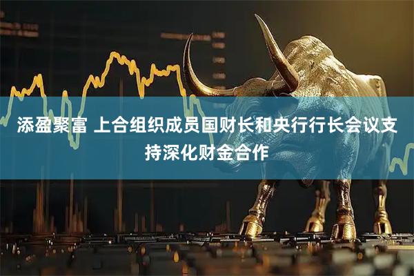 添盈聚富 上合组织成员国财长和央行行长会议支持深化财金合作