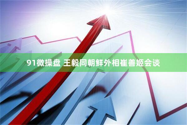 91微操盘 王毅同朝鲜外相崔善姬会谈