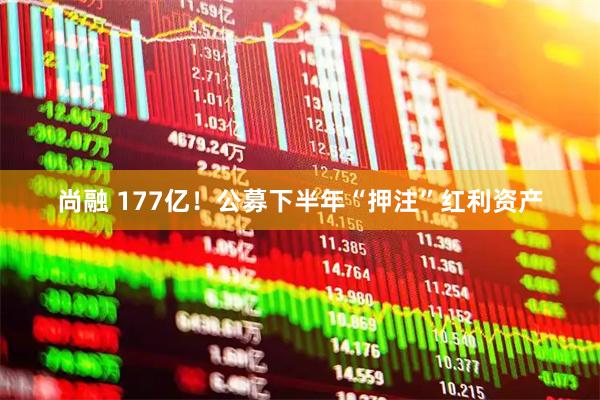 尚融 177亿！公募下半年“押注”红利资产