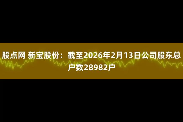 股点网 新宝股份：截至2026年2月13日公司股东总户数28982户